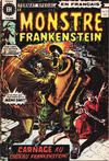 Cover for Le Monstre de Frankenstein (Editions Héritage, 1973 series) #11