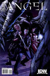 Cover for Angel (IDW, 2009 series) #22 [Cover B - Nick Runge]