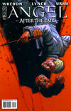 Cover Thumbnail for Angel: After the Fall (2007 series) #5 [Cover RI-A]