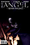 Cover Thumbnail for Angel: After the Fall (2007 series) #7 [Cover B]