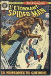 Cover for L'Étonnant Spider-Man (Editions Héritage, 1969 series) #13