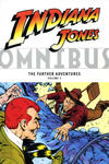 Cover for Indiana Jones Omnibus: The Further Adventures (Dark Horse, 2009 series) #3