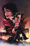 Cover for Vampirella Quarterly (Harris Comics, 2007 series) #1 [Spring 2008] [Cover D]