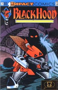 Cover Thumbnail for Black Hood (DC, 1991 series) #1 [Direct]