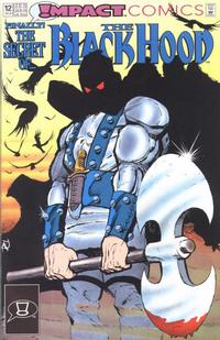 Cover Thumbnail for Black Hood (DC, 1991 series) #12