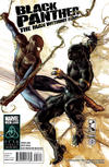 Cover for Black Panther: The Man without Fear (Marvel, 2011 series) #516 [Regular cover]