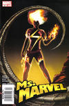 Cover for Ms. Marvel (Marvel, 2006 series) #24 [Newsstand]