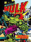 Cover for L'Incredibile Hulk (Editoriale Corno, 1980 series) #24