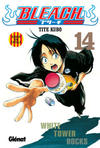 Cover for Bleach (Ediciones Glénat España, 2007 series) #14