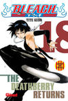 Cover for Bleach (Ediciones Glénat España, 2007 series) #18