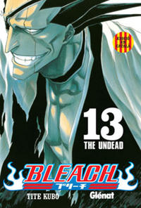 Cover Thumbnail for Bleach (Ediciones Glénat España, 2007 series) #13