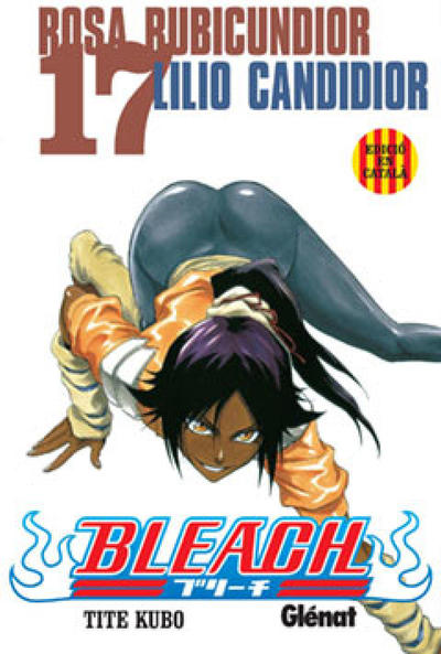 Cover for Bleach (Ediciones Glénat España, 2007 series) #17