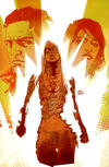 Cover Thumbnail for Incorruptible (2009 series) #17 [Virgin Variant]