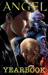 Cover for Angel Yearbook (IDW, 2011 series) [David Messina Cover]