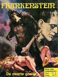 Cover Thumbnail for Frankenstein (De Schorpioen, 1978 series) #8