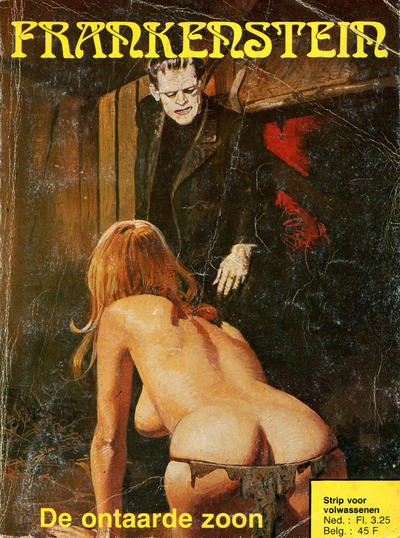 Cover for Frankenstein (De Schorpioen, 1978 series) #10