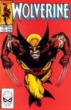 Cover Thumbnail for Wolverine (1988 series) #17 [Direct]