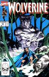 Cover for Wolverine (Marvel, 1988 series) #25 [Direct]