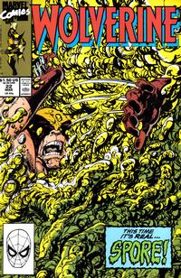 Cover Thumbnail for Wolverine (Marvel, 1988 series) #22 [Direct]