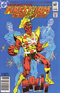 Cover Thumbnail for The Fury of Firestorm (DC, 1982 series) #13 [Newsstand]