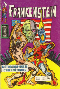 Cover Thumbnail for Frankenstein (Arédit-Artima, 1975 series) #13