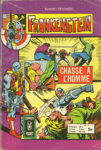 Cover Thumbnail for Frankenstein (Arédit-Artima, 1975 series) #11