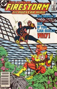 Cover Thumbnail for The Fury of Firestorm (DC, 1982 series) #28 [Newsstand]