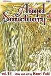 Cover for Angel Sanctuary (Viz, 2004 series) #13