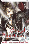 Cover for Angel Sanctuary (Viz, 2004 series) #17