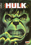 Cover for Hulk (Arédit-Artima, 1983 series) #14
