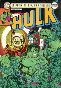 Cover Thumbnail for Hulk (Arédit-Artima, 1983 series) #12