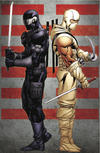 Cover Thumbnail for G.I. Joe: Snake Eyes (2011 series) #1 [Cover RI]