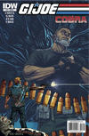 Cover for G.I. Joe Cobra II (IDW, 2010 series) #11 [Cover RI]