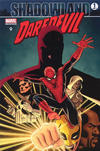 Cover for Daredevil (Panini Deutschland, 2008 series) #9 - Shadowland 1