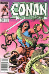Cover for Conan the Barbarian (Marvel, 1970 series) #162 [Newsstand]