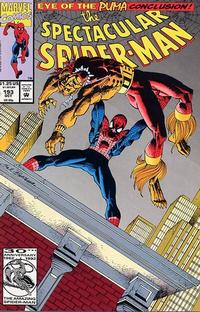 Cover for The Spectacular Spider-Man (Marvel, 1976 series) #193 [Direct]