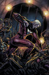 Cover Thumbnail for Irredeemable (2009 series) #24 [Cover C]