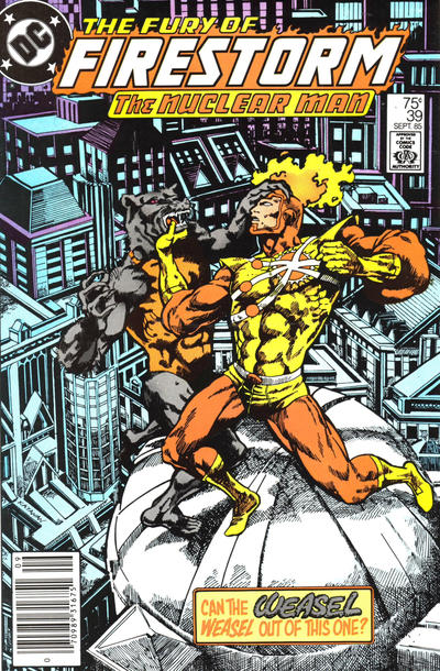 Cover for The Fury of Firestorm (DC, 1982 series) #39 [Newsstand]