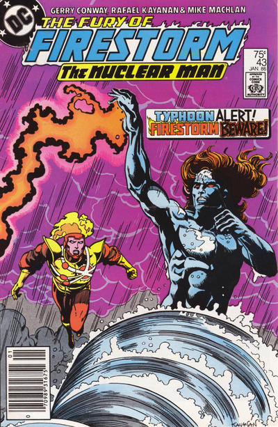 Cover for The Fury of Firestorm (DC, 1982 series) #43 [Newsstand]