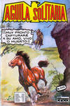 Cover for Aguila Solitaria (Editora Cinco, 1976 series) #348