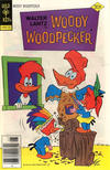 Cover for Walter Lantz Woody Woodpecker (Western, 1962 series) #158 [Gold Key]