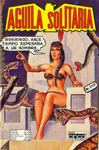 Cover for Aguila Solitaria (Editora Cinco, 1976 series) #249