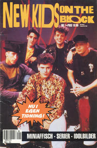 Cover Thumbnail for New Kids on the Block (Semic, 1991 series) #1/1991