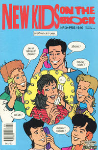 Cover Thumbnail for New Kids on the Block (Semic, 1991 series) #3/1991