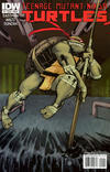 Cover Thumbnail for Teenage Mutant Ninja Turtles (2011 series) #1 [Cover B - Dan Duncan Connecting Variant]