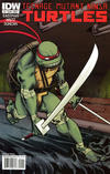 Cover for Teenage Mutant Ninja Turtles (IDW, 2011 series) #1 [Cover D - Dan Duncan Connecting Variant]