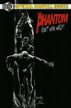 Cover for The Phantom: Ghost Who Walks (Moonstone, 2009 series) #12 [Cover B]