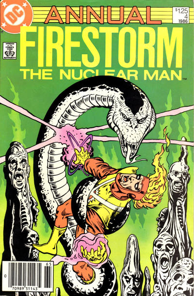 Cover for Fury of Firestorm Annual (DC, 1983 series) #4 [Newsstand]