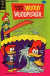 Cover for Walter Lantz Woody Woodpecker (Western, 1962 series) #138 [Gold Key]