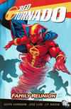Cover for Red Tornado: Family Reunion (DC, 2010 series) 